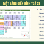 mặt bằng nhà ở xã hội newstar homes bắc ninh