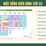 mặt bằng nhà ở xã hội newstar homes bắc ninh tòa s2